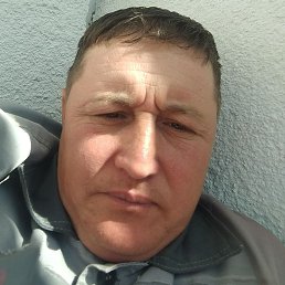 ����, �����-���������, 42 ����