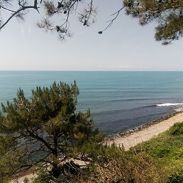 ����, ����, 50 ���