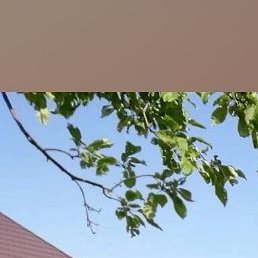 ����, ������, 50 ���