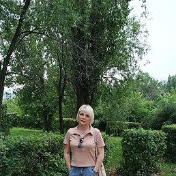 ���� �������, ������� - ��������� 20 ������� 2023