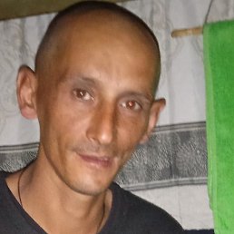 �����, �����������, 43 ����