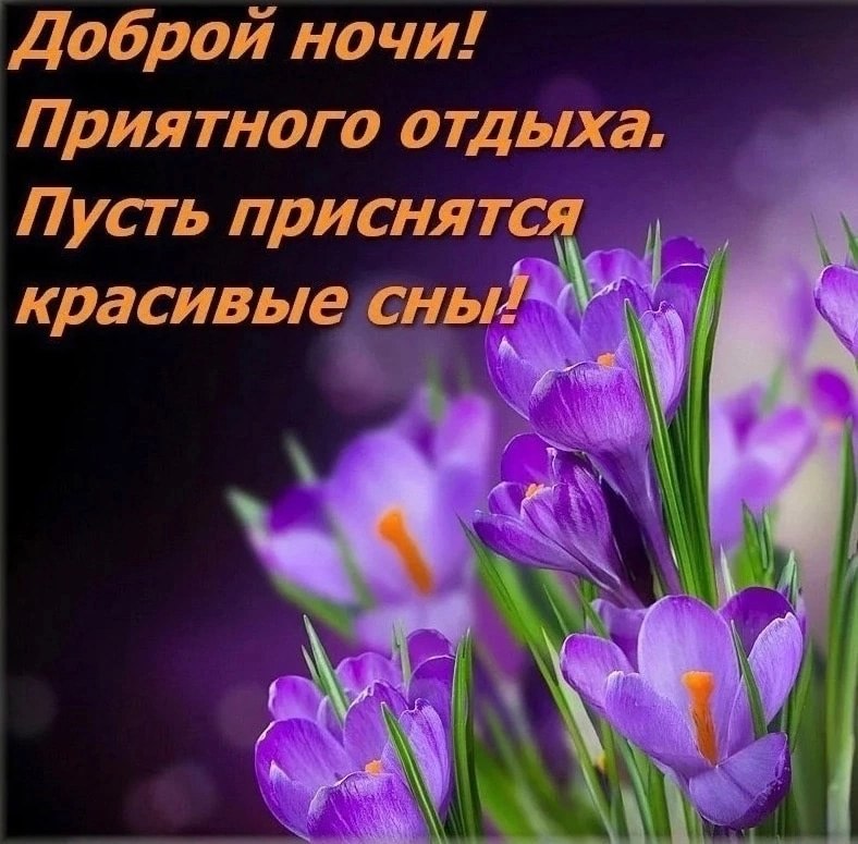   ,    . - 13  2023  22:22