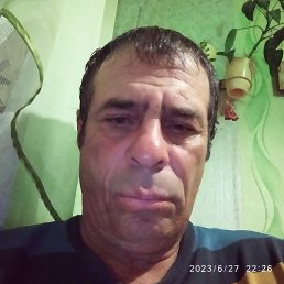 ���� ����, ��������, 54 ���� - ��������� 15 ���� 2023