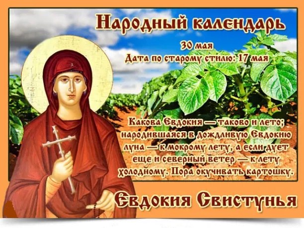30 мая Евдокия Свистунья. —————————————— Дата по старому стилю: 17 мая. В день святой Евдокии, ...