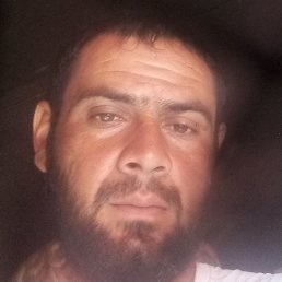 Bahti, ������, 37 ���