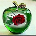 ���� ������, �����, 43 ���� - ��������� 7 ���� 2023