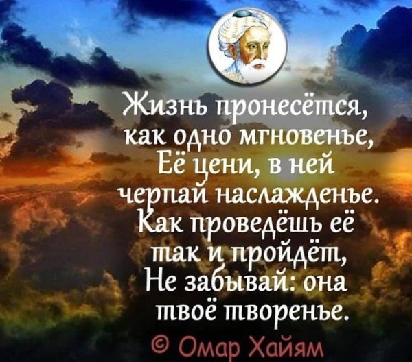 Lunapet - 18  2023  11:41