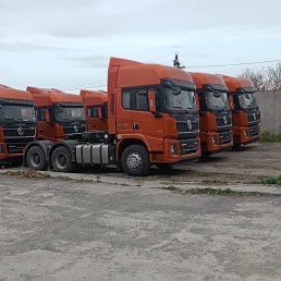 ���� ��������, ��������, 37 ��� - ��������� 15 ������� 2023