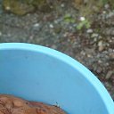  ,  , 58  -  17  2023    