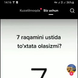 Nigina, �������, 37 ���