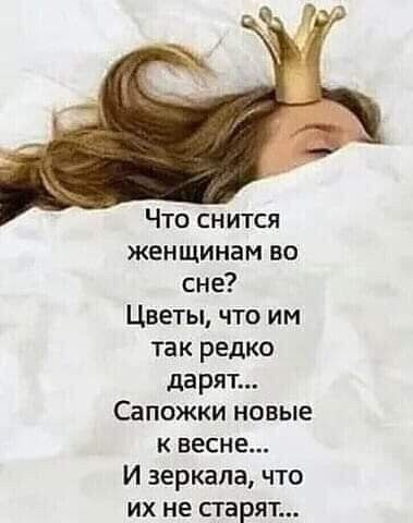   - 15  2023  09:16
