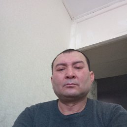 , 51 , 