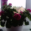 ���� ���, �����, 48 ��� - ��������� 12 ���� 2023