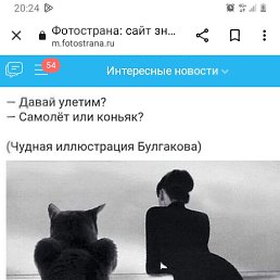 ���� �������, ���������, 55 ��� - ��������� 6 ����� 2023