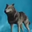 ���� ������, ������, 47 ��� - ��������� 1 ����� 2023