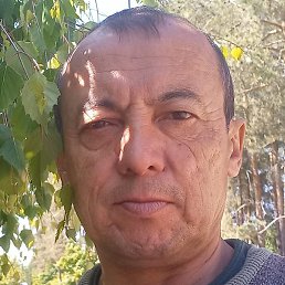 ����, ������, 56 ���