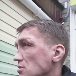 ������, �������, 46 ���