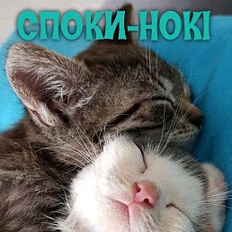 ����, �����, 25 ���