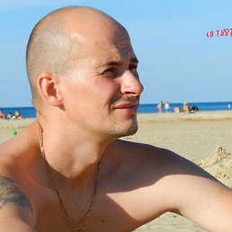 �����, �������, 44 ����