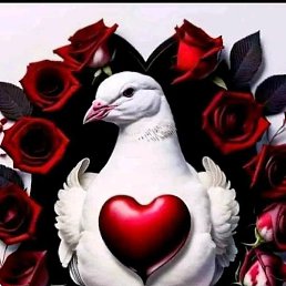 �����, ������, 55 ���