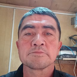 �����, ������, 49 ���