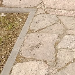 ���������, ������� ��������, 52 ����