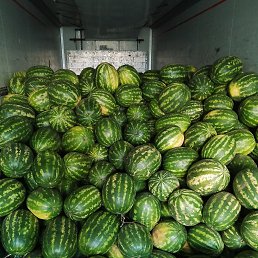 ���� ����, ������, 37 ��� - ��������� 4 �������� 2023