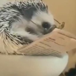 ������, ���, 27 ���