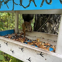 �������, ������, 30 ���