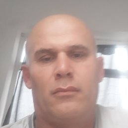 ����, �������, 47 ���