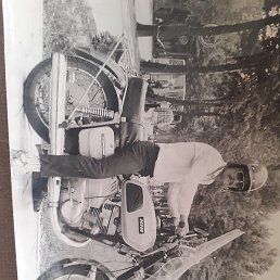 ������, �������, 37 ���