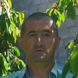 ������, ������, 55 ���