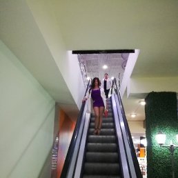 ���� ������, ���������, 54 ���� - ��������� 3 ��� 2023