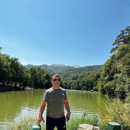 ���, ������, 41 ���