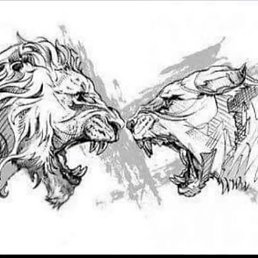 �������, ������, 24 ����