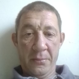 ������, ������, 41 ���