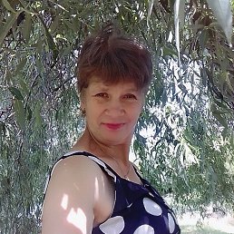 ���� �������, ���������, 58 ��� - ��������� 1 ���� 2023