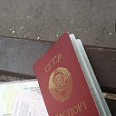 ���� ������, ������, 53 ���� - ��������� 8 ���� 2023