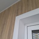 ���� ������ �����, ����, 49 ��� - ��������� 26 ���� 2023 � ������ ���� ����������