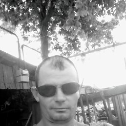 ���� ������, ��������, 41 ��� - ��������� 22 ���� 2023