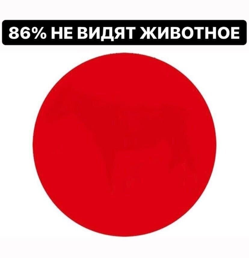   - 10  2023  12:02