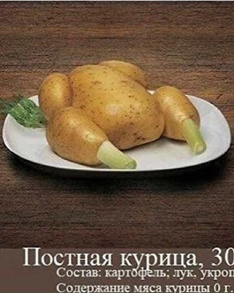   - 8  2023  06:47