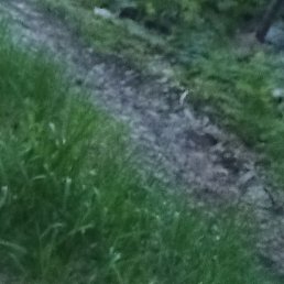 ����, ����, 41 ���