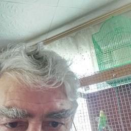 ����, ������, 67 ���