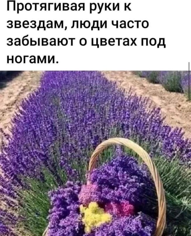  - 15  2023  20:16