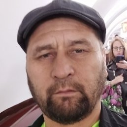 ����, �����-���������, 46 ���