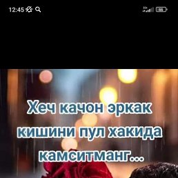 ��������, �������, 37 ���