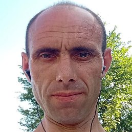 ����, ������, 43 ����