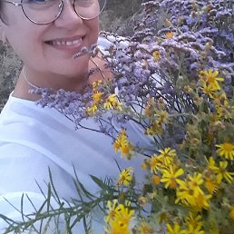 ��������, ������������, 51 ���