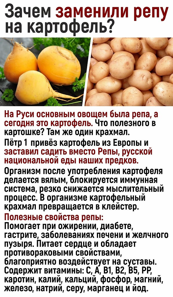 ~ ~ ~ ~ ~ ~ ~ ~ ~ ~ ~ ~ ~ ~ ~